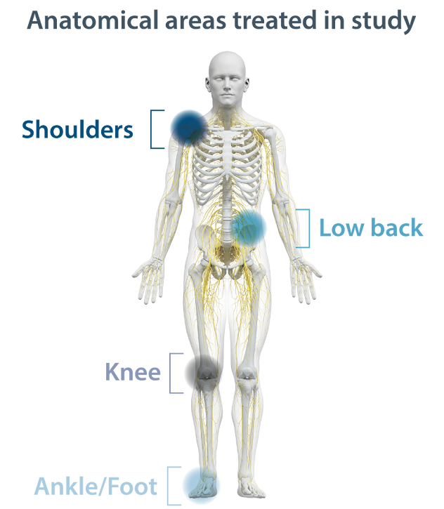 target-areas-graphic